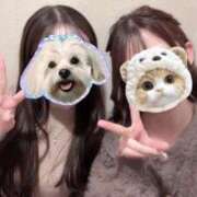 ヒメ日記 2025/11/29 14:30 投稿 如月　つむぎ 響-HIBIKI-