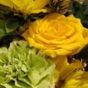 ヒメ日記 2024/12/23 19:37 投稿 まき 人妻小旅行～神奈川県央編