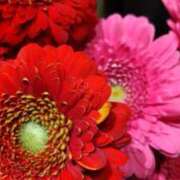 ヒメ日記 2024/12/26 19:52 投稿 まき 人妻小旅行～神奈川県央編