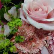 ヒメ日記 2024/12/27 09:34 投稿 まき 人妻小旅行～神奈川県央編