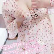 ヒメ日記 2025/02/14 10:39 投稿 いくみ☆未経験可愛い超清純若奥様 PREMIUM萌え可愛いチョコレート～全てのステージで感動の体験を～