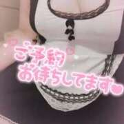 ヒメ日記 2025/05/12 14:10 投稿 いくみ☆未経験可愛い超清純若奥様 PREMIUM萌え可愛いチョコレート～全てのステージで感動の体験を～