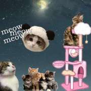 ヒメ日記 2025/06/04 01:17 投稿 いくみ☆未経験可愛い超清純若奥様 PREMIUM萌え可愛いチョコレート～全てのステージで感動の体験を～