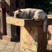 みき 村人レベル１ CHIANTI OKINAWA