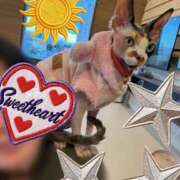 ヒメ日記 2025/12/26 22:32 投稿 みき CHIANTI OKINAWA