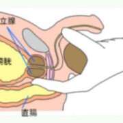 ヒメ日記 2026/01/08 12:29 投稿 みき CHIANTI OKINAWA