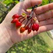 ヒメ日記 2026/01/24 17:29 投稿 みき CHIANTI OKINAWA