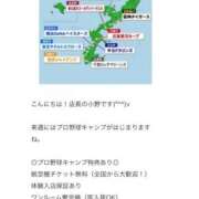 ヒメ日記 2026/01/30 10:28 投稿 みき CHIANTI OKINAWA