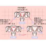 ヒメ日記 2026/01/31 22:32 投稿 みき CHIANTI OKINAWA