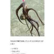 ヒメ日記 2026/03/21 17:35 投稿 みき CHIANTI OKINAWA