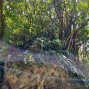 ヒメ日記 2026/04/08 20:36 投稿 みき CHIANTI OKINAWA