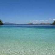 ヒメ日記 2025/08/03 09:27 投稿 のあ 新宿・新大久保おかあさん