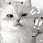 ヒメ日記 2025/02/04 12:22 投稿 はな【SSS級天使♡】 ポニーテール和歌山店