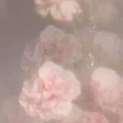 ヒメ日記 2025/03/09 08:45 投稿 はな【SSS級天使♡】 ポニーテール和歌山店