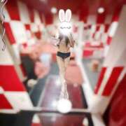 ヒメ日記 2025/10/16 12:42 投稿 はな【SSS級天使♡】 ポニーテール和歌山店