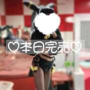 ヒメ日記 2025/11/06 09:02 投稿 はな【SSS級天使♡】 ポニーテール和歌山店