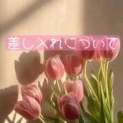 ヒメ日記 2026/10/09 12:56 投稿 はな【SSS級天使♡】 ポニーテール和歌山店