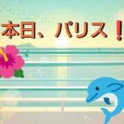 ヒメ日記 2024/08/18 06:50 投稿 蒼 チューリップ土浦店