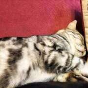 ヒメ日記 2025/10/06 13:49 投稿 芦戸 てん AZITO V.I.P