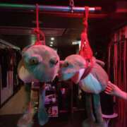 津雲あやな 腰痛とぽっこりお腹の関係 ワイフコレクション