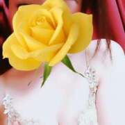 ヒメ日記 2025/10/29 16:50 投稿 かずは 奥鉄オクテツ神奈川店（デリヘル市場グループ）