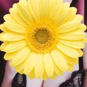 ヒメ日記 2025/12/01 17:00 投稿 かずは 奥鉄オクテツ神奈川店（デリヘル市場グループ）