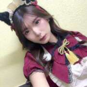 ヒメ日記 2026/04/11 21:12 投稿 月野りりか キュート東京 五反田店