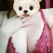 ヒメ日記 2025/03/01 13:05 投稿 かずは 奥鉄オクテツ東京店（デリヘル市場）