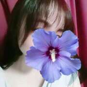 ヒメ日記 2025/04/05 14:20 投稿 かずは 奥鉄オクテツ東京店（デリヘル市場）