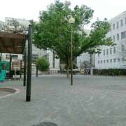 ヒメ日記 2025/04/10 17:50 投稿 かずは 奥鉄オクテツ東京店（デリヘル市場）