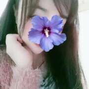 ヒメ日記 2025/04/12 16:00 投稿 かずは 奥鉄オクテツ東京店（デリヘル市場）