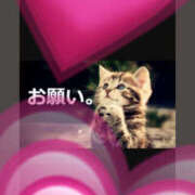 ヒメ日記 2025/05/07 21:10 投稿 かずは 奥鉄オクテツ東京店（デリヘル市場）