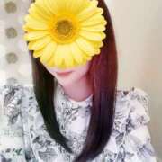 ヒメ日記 2025/11/12 11:40 投稿 かずは 奥鉄オクテツ東京店（デリヘル市場）