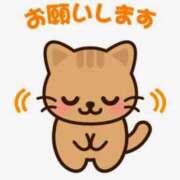 ヒメ日記 2026/07/04 13:50 投稿 かずは 奥鉄オクテツ東京店（デリヘル市場）