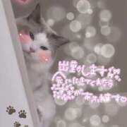 ヒメ日記 2025/05/31 08:01 投稿 はつね モアグループ熊谷人妻花壇