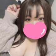 ヒメ日記 2026/02/19 10:49 投稿 藤井 鶯谷デッドボール