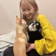 ヒメ日記 2025/02/08 15:44 投稿 AKARI GINGIRA☆TOKYO～ギンギラ東京～