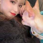 ヒメ日記 2025/02/11 10:24 投稿 AKARI GINGIRA☆TOKYO～ギンギラ東京～