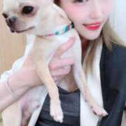 ヒメ日記 2025/06/09 13:04 投稿 AKARI GINGIRA☆TOKYO～ギンギラ東京～