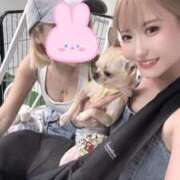 ヒメ日記 2025/09/11 17:37 投稿 AKARI GINGIRA☆TOKYO～ギンギラ東京～