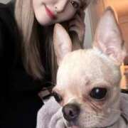 ヒメ日記 2025/10/06 16:34 投稿 AKARI GINGIRA☆TOKYO～ギンギラ東京～