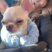 ヒメ日記 2026/01/07 15:14 投稿 AKARI GINGIRA☆TOKYO～ギンギラ東京～