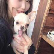 ヒメ日記 2026/01/17 15:14 投稿 AKARI GINGIRA☆TOKYO～ギンギラ東京～