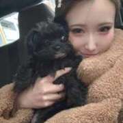 ヒメ日記 2026/02/17 15:15 投稿 AKARI GINGIRA☆TOKYO～ギンギラ東京～