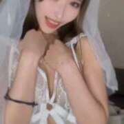 ヒメ日記 2026/04/15 13:15 投稿 AKARI GINGIRA☆TOKYO～ギンギラ東京～