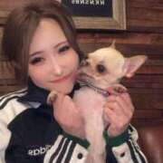 ヒメ日記 2026/04/17 11:04 投稿 AKARI GINGIRA☆TOKYO～ギンギラ東京～