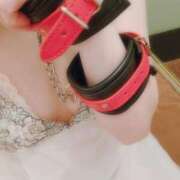 ヒメ日記 2025/07/16 05:12 投稿 船木 わかな Mの世界