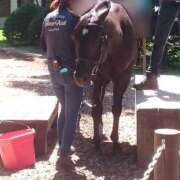 ヒメ日記 2025/04/18 14:33 投稿 片岡 じゅり Mの世界