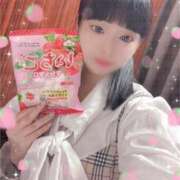 ヒメ日記 2025/04/17 15:05 投稿 はな 池袋コスプレサンシャイン（シンデレラグループ）