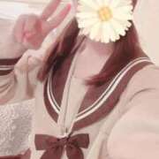 ヒメ日記 2025/07/18 10:09 投稿 はな 池袋コスプレサンシャイン（シンデレラグループ）